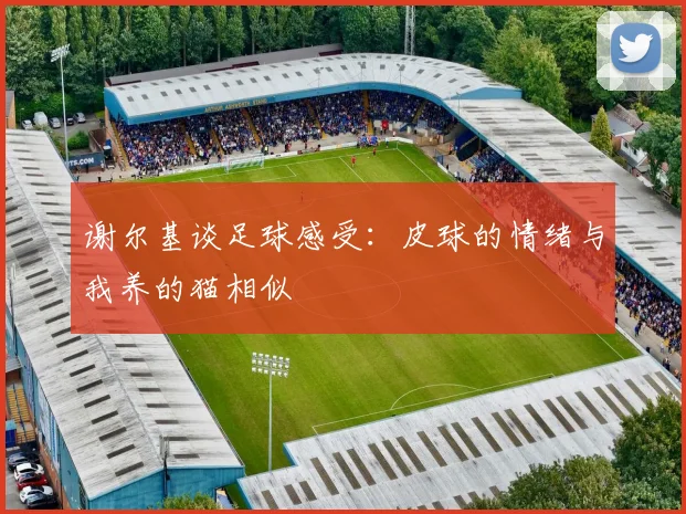 谢尔基谈足球感受：皮球的情绪与我养的猫相似