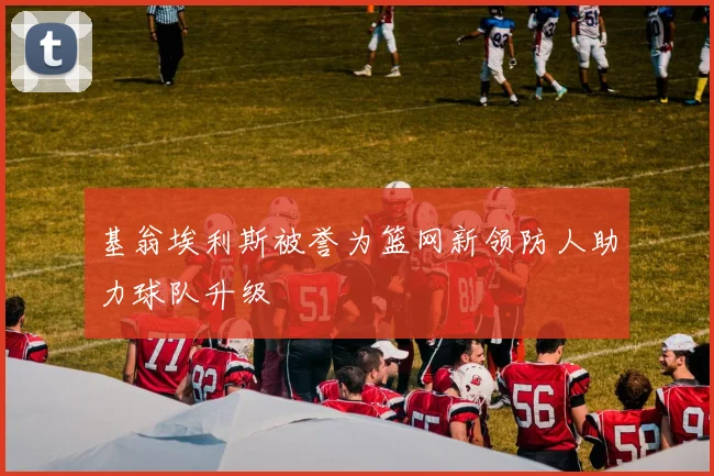 基翁埃利斯被誉为篮网新领防人助力球队升级